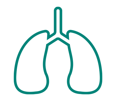 Network structure - The Lung Cancer Policy Network